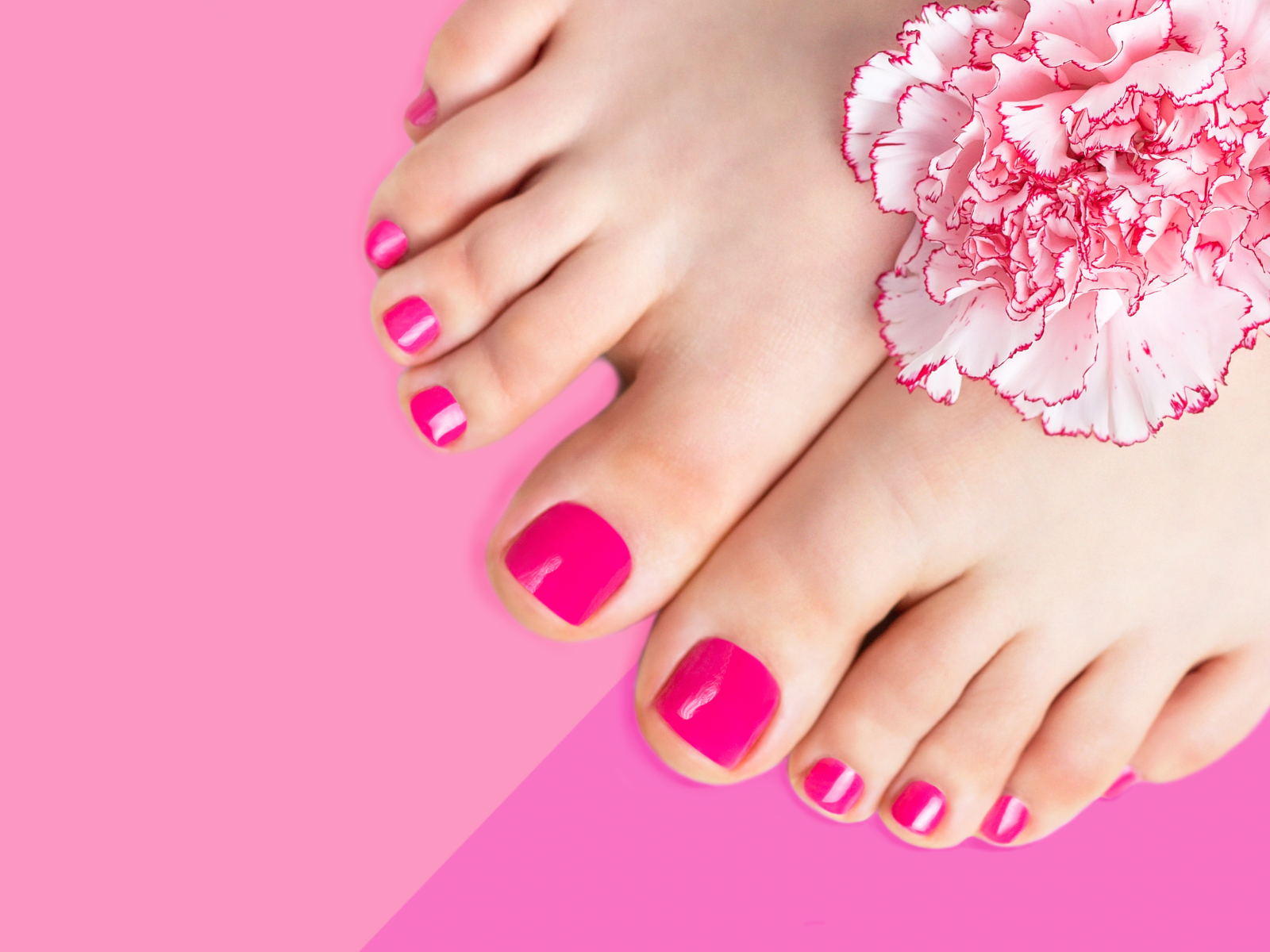feet, pink toenails, carnation